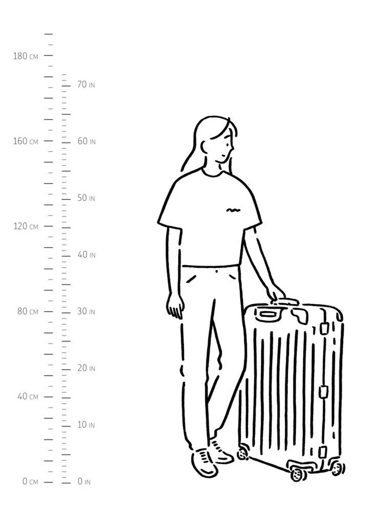 Original Check-In L suitcase 商品