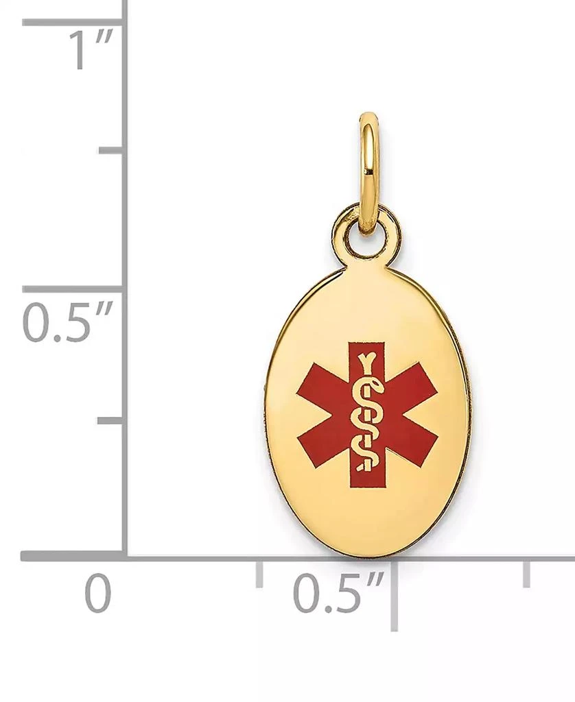 商品Macy's|Medical Info Charm Pendant in 14k Gold,价格¥1433,第4张图片详细描述