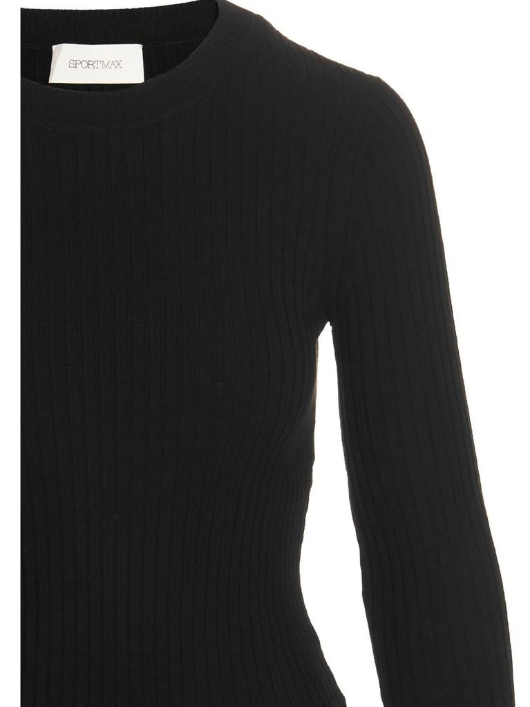商品Max Mara|Sportmax Crewneck Long-Sleeved Jumper,价格¥867,第3张图片详细描述