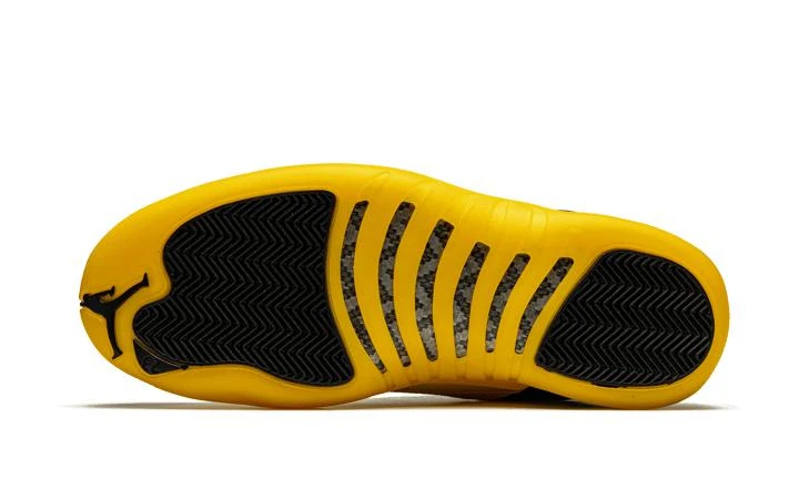Air Jordan 12 Retro 商品