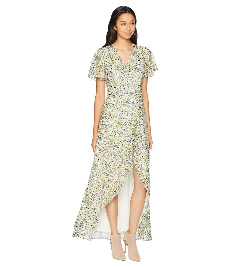 商品Juicy Couture|Ditsy Burnout Chiffon Maxi Dress,价格¥893,第4张图片详细描述