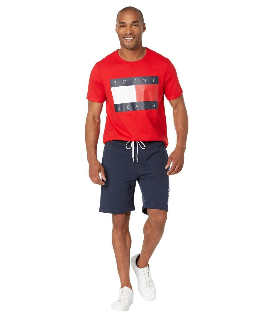 商品Tommy Hilfiger|Sensory Flag T-Shirt,价格¥273-¥311,第6张图片详细描述