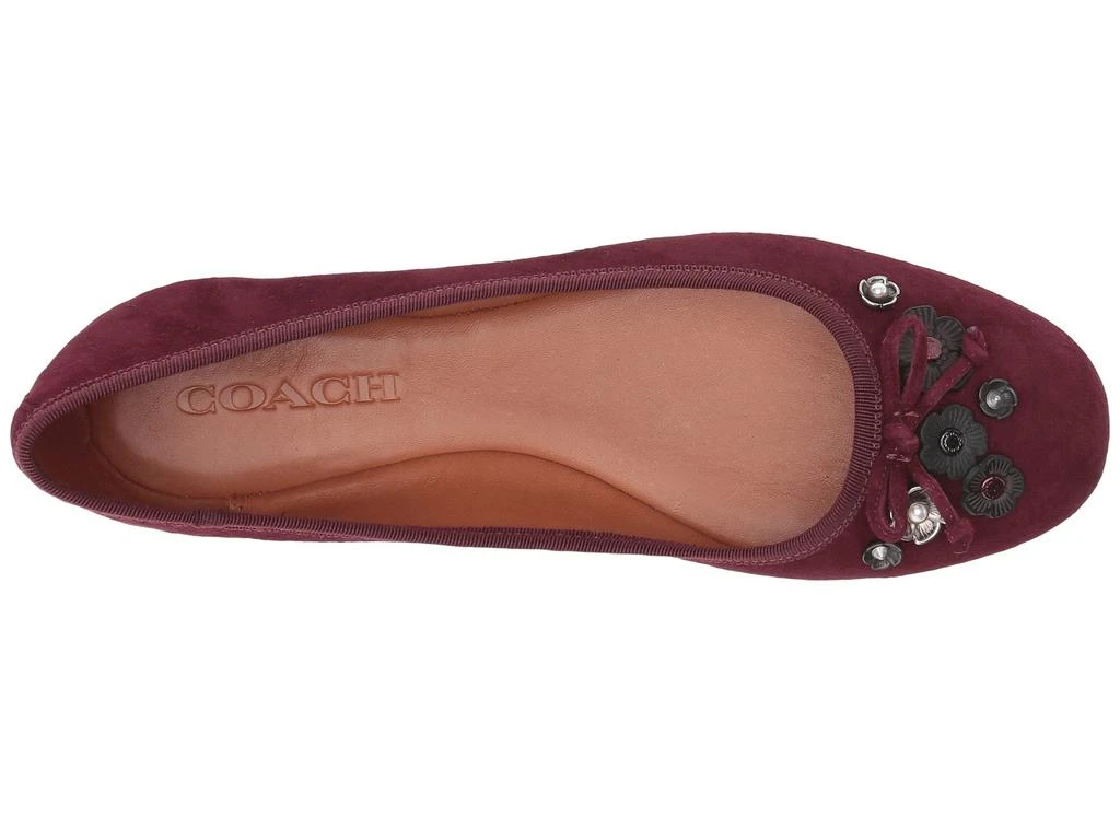 商品Coach|Lola Tea Rose Ballet,价格¥376,第2张图片详细描述