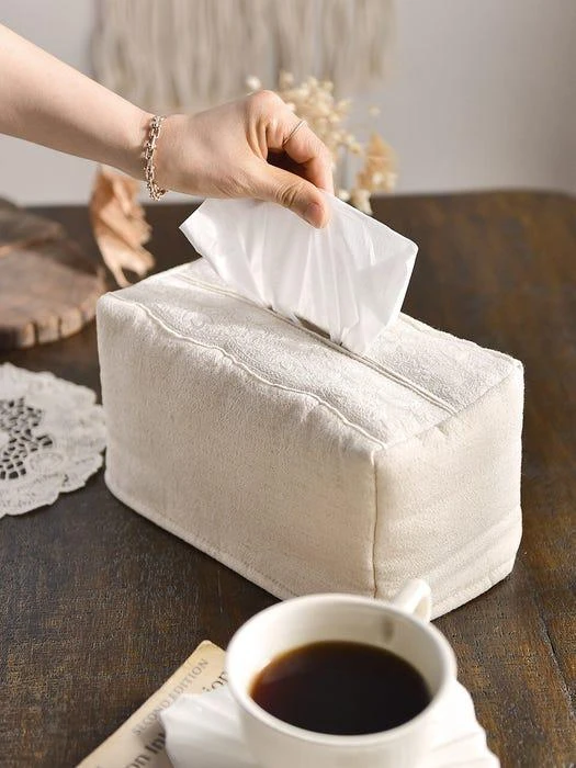 商品BELLELIFE|Elegant Lace Tissue Case,价格¥1100,第3张图片详细描述