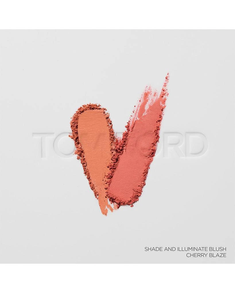 Shade & Illuminate Blush 商品