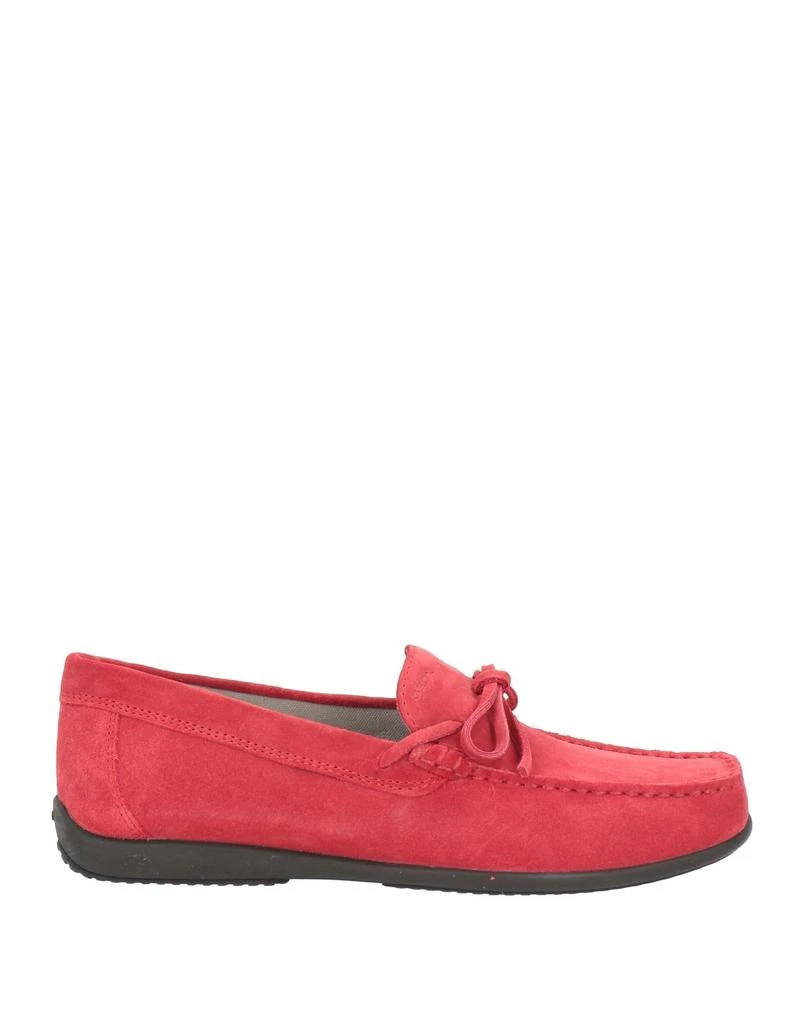 商品Geox|Loafers,价格¥479,第1张图片