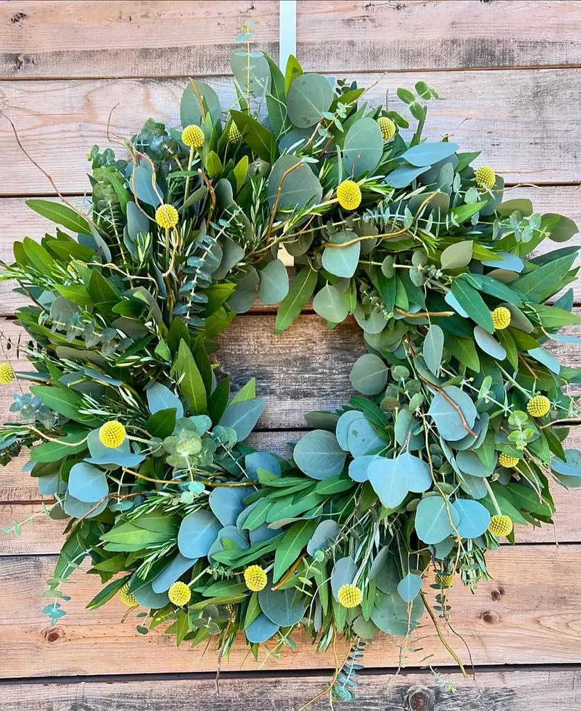 商品GreenishBlu|Bayleaf, Baby Blue Eucalyptus, Rosemary, Curly Willow and Yellow Billy Balls Real Aromatic Wreath, 22",价格¥733,第3张图片详细描述