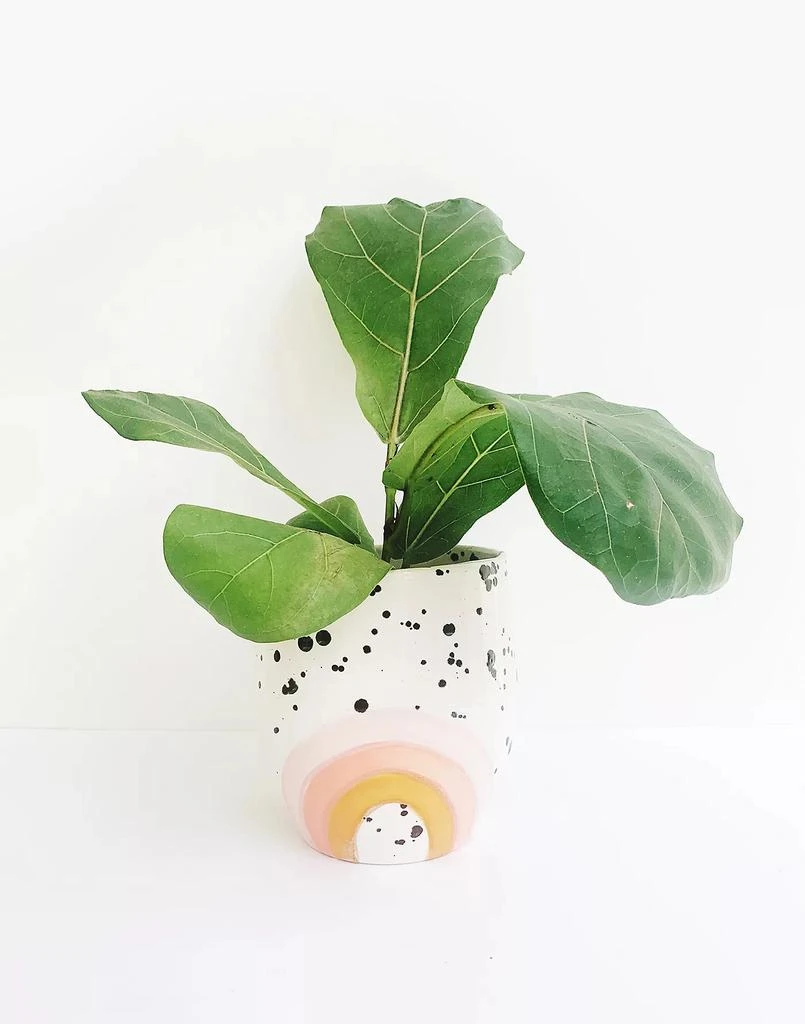 商品Luna-Reece Ceramics|Ink Spots Berry Rainbow Planter,价格¥595,第1张图片