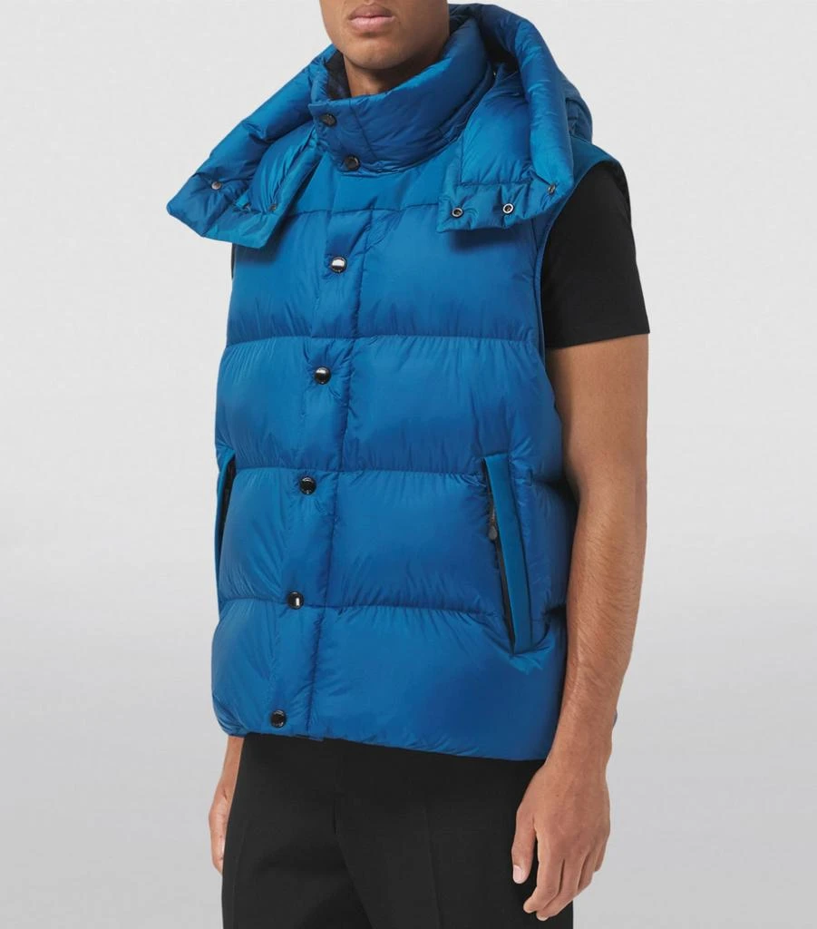 商品Burberry|Detachable-Sleeve Puffer Jacket,价格¥15405,第4张图片详细描述