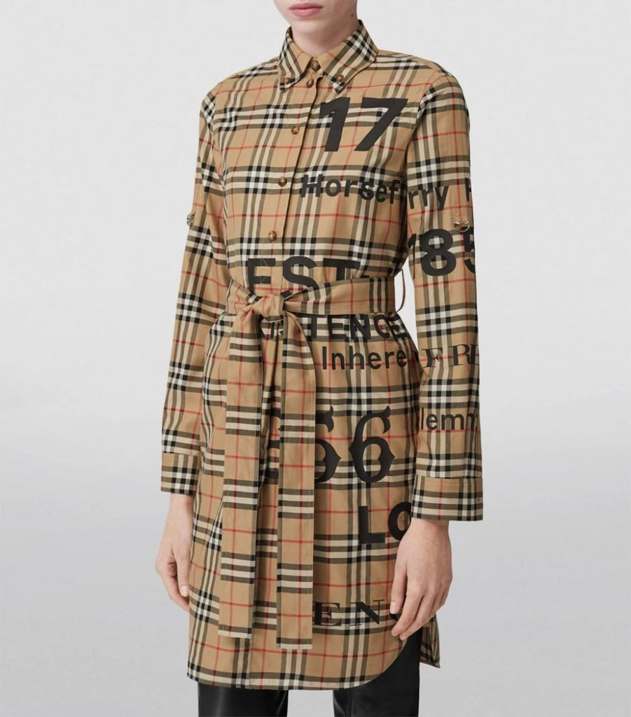 商品Burberry|Vintage Check Shirt Dress,价格¥7345,第3张图片详细描述