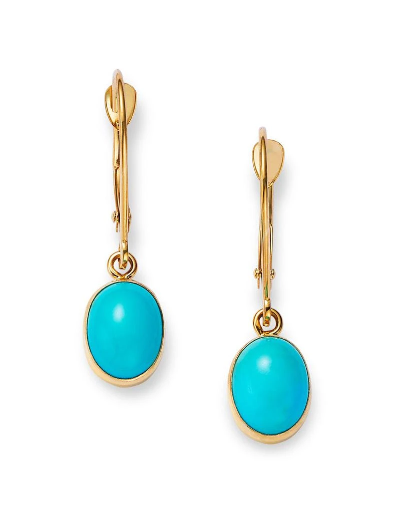 Turquoise Drop Earrings in 14K Yellow Gold 商品