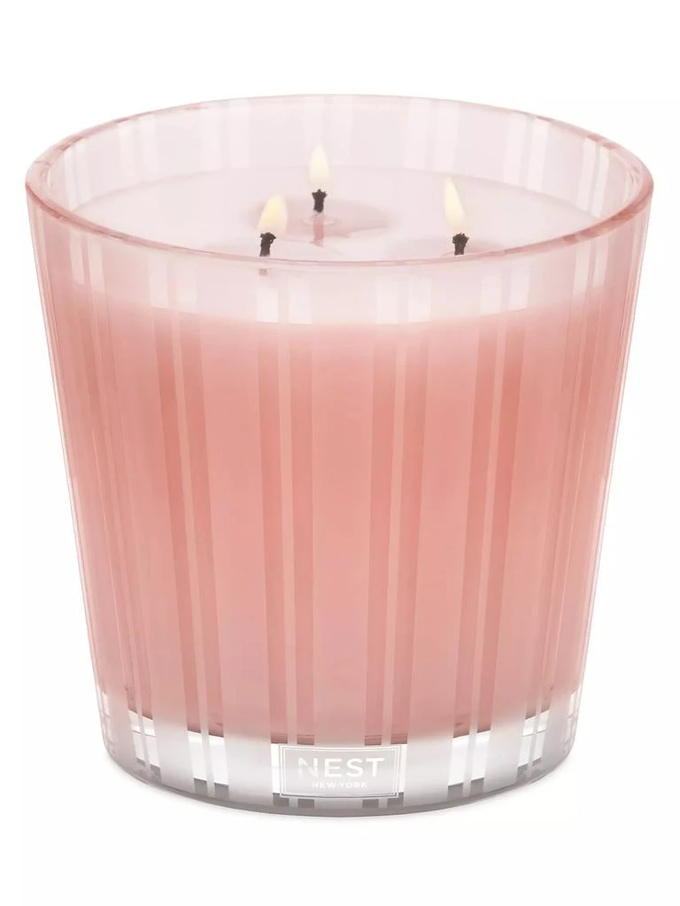 商品NEST New York|Wellness Himalayan Salt & Rosewater 3-Wick Candle,价格¥638,第2张图片详细描述