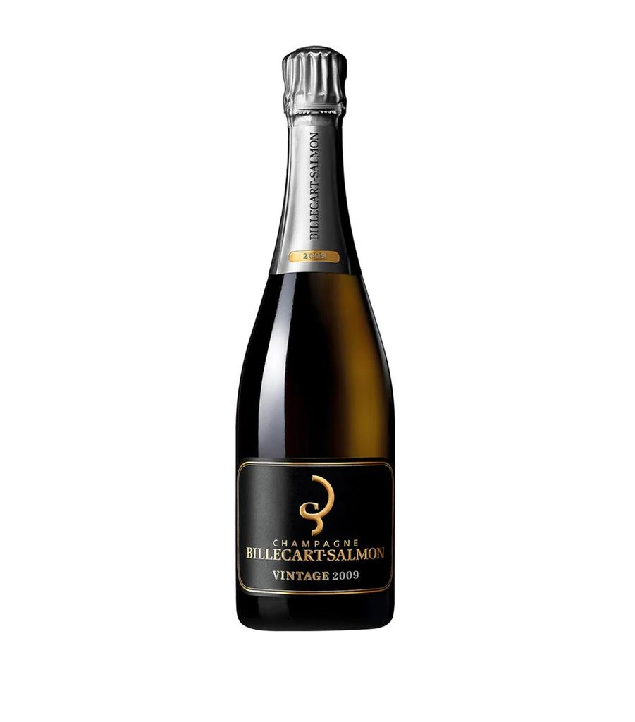 商品Billecart Salmon|Champagne 2009 (75cl),价格¥662,第1张图片