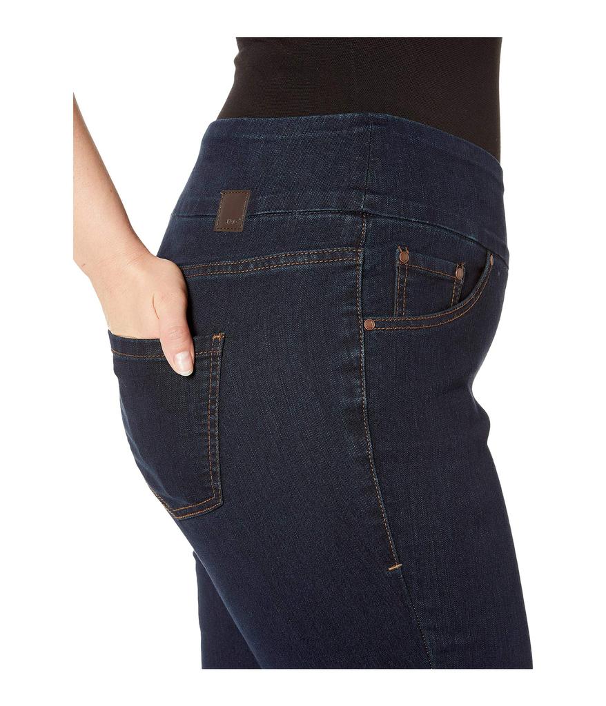 Plus Size Nora Pull-On Skinny Jeans商品第4张图片规格展示