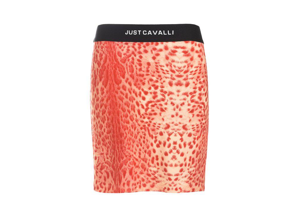 Just Cavalli Animal Print Logo Waistband Skirt商品第1张图片规格展示