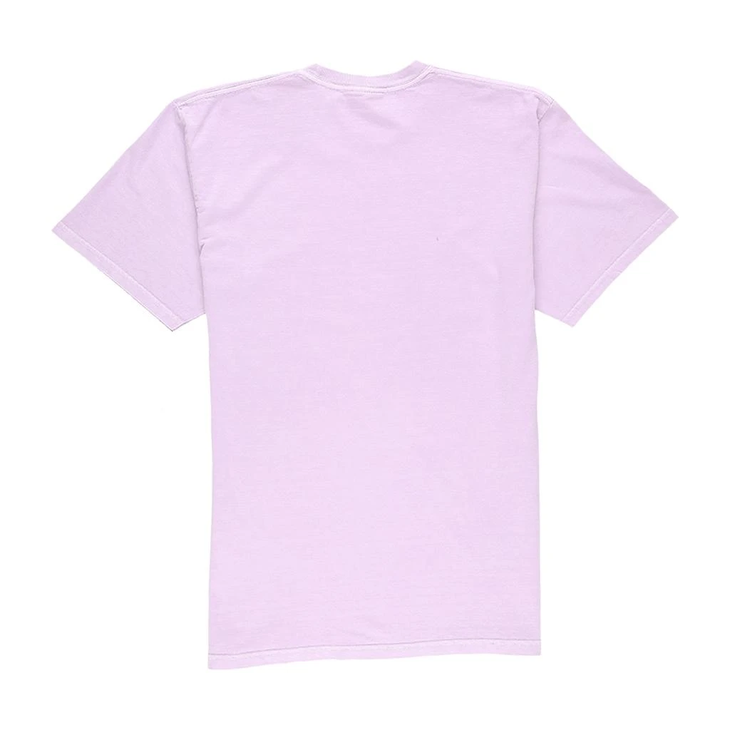 商品STUSSY|Basic Logo Pigment Dyed T-Shirt,价格¥342,第2张图片详细描述