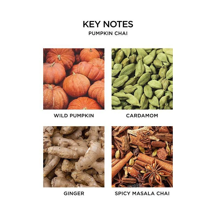 商品NEST New York|NEST Fragrances Pumpkin Chai Liquid Soap,价格¥147,第2张图片详细描述