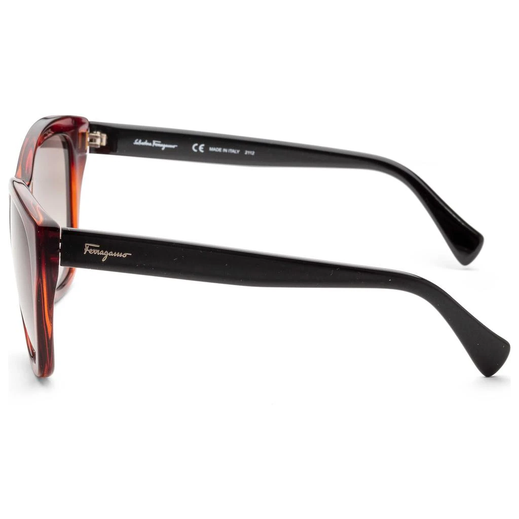 商品Salvatore Ferragamo|Ferragamo Women's Sunglasses SF957S-214,价格¥487,第2张图片详细描述