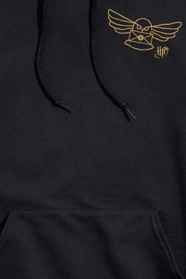 商品Urban Outfitters|Harry Potter And The Sorcerer’s Stone Hoodie Sweatshirt,价格¥272,第2张图片详细描述