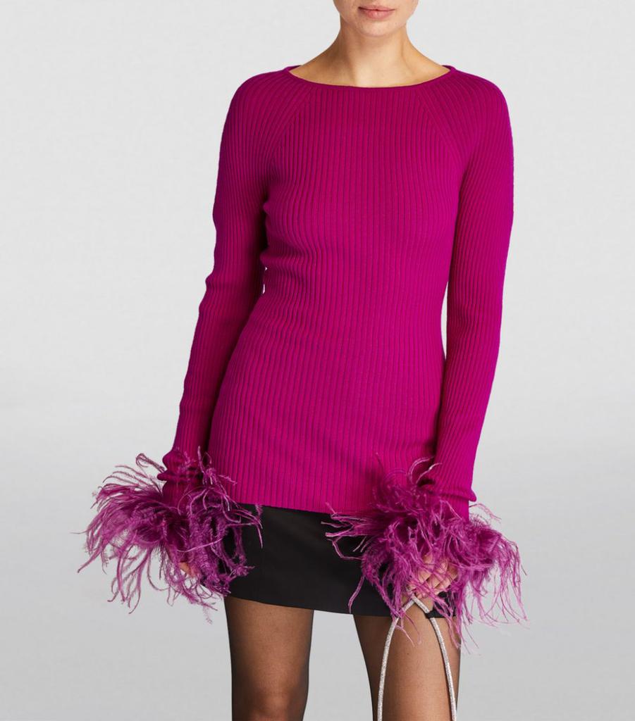 Wool Feather-Trimmed Sweater商品第3张图片规格展示