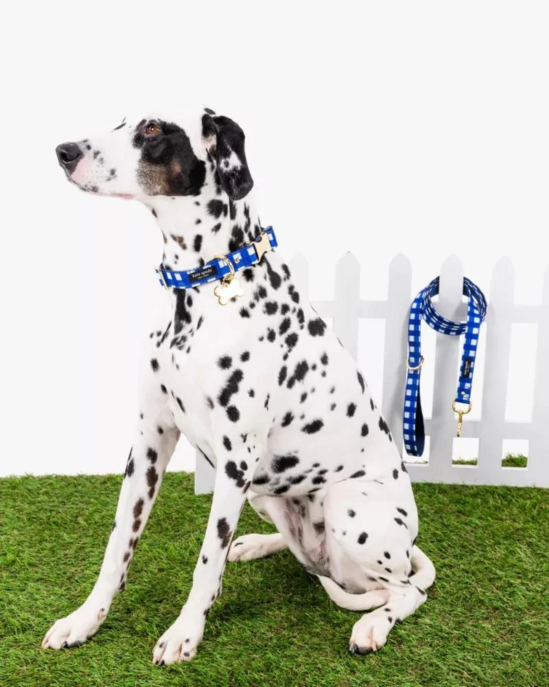 商品Kate Spade|Navy Gingham Leash M/L,价格¥243,第1张图片详细描述