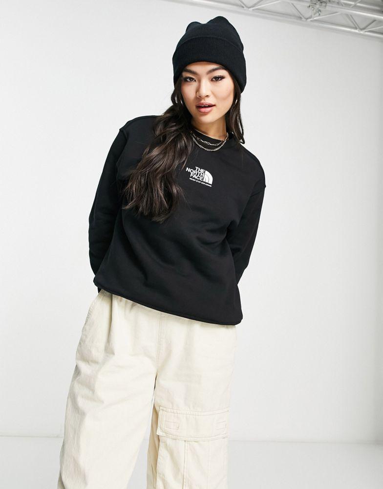 The North Face Coordinates back print sweatshirt in black商品第2张图片规格展示