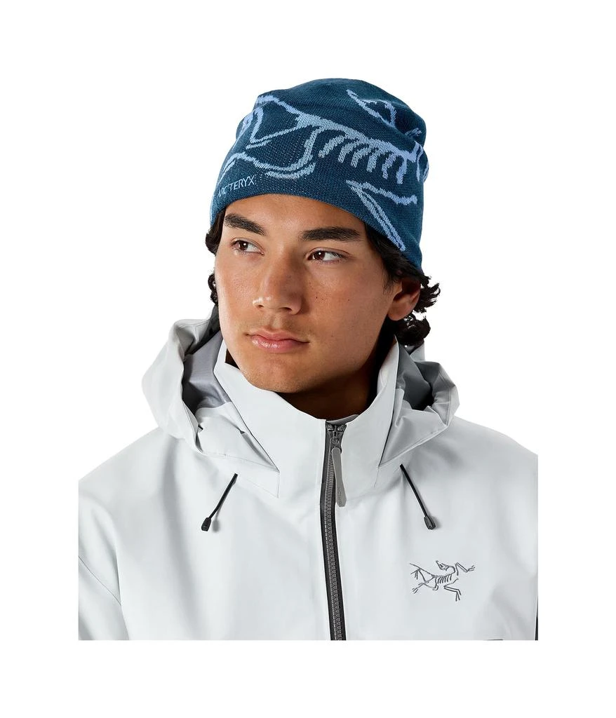 商品Arc'teryx|Bird Head Toque,价格¥479,第2张图片详细描述