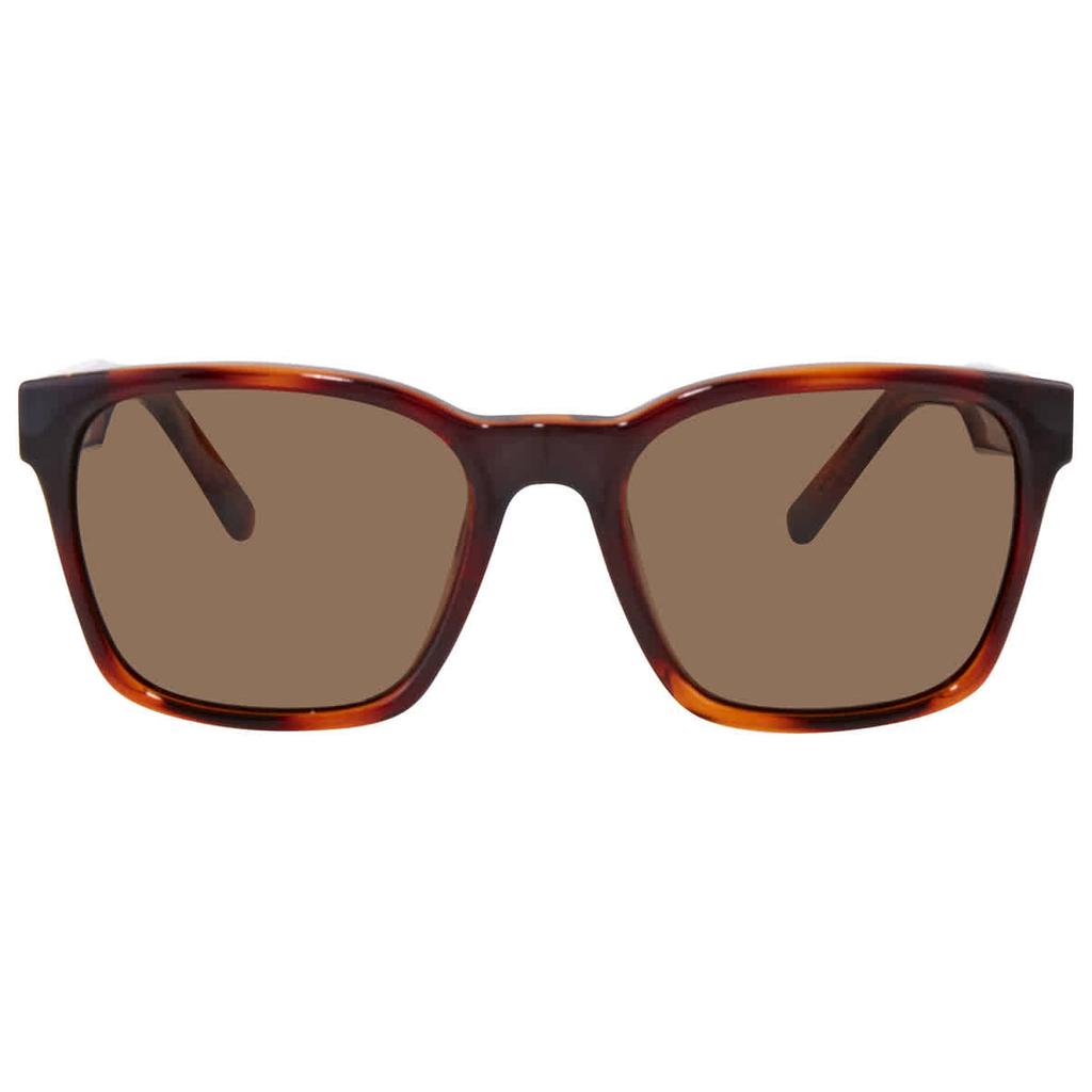 Salvatore Ferragamo Green Square Ladies Sunglasses SF959S 214 55商品第2张图片规格展示