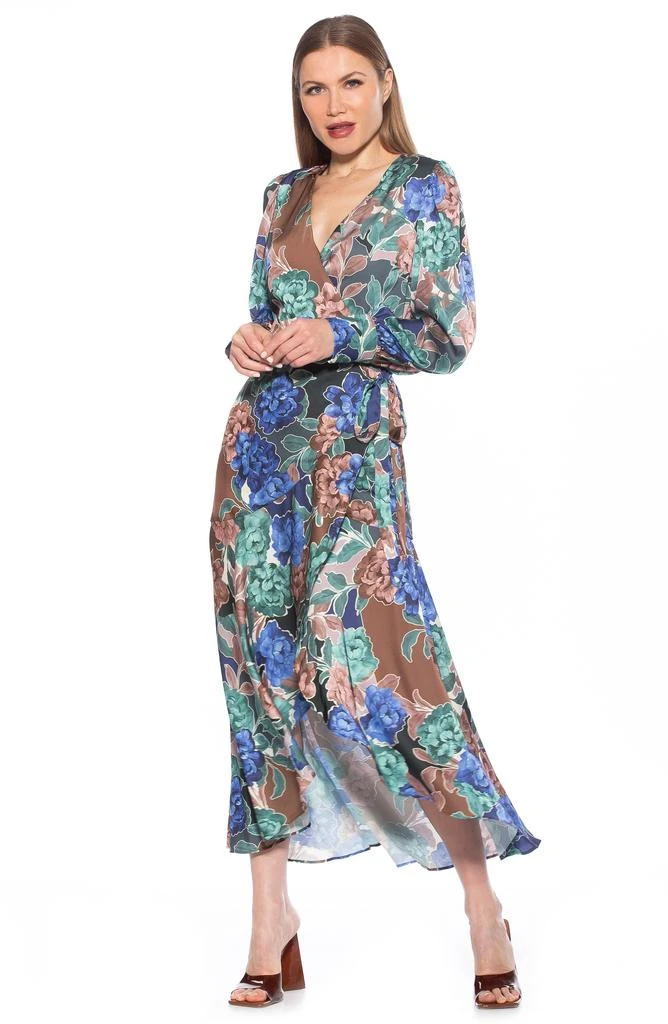 Floral Long Sleeve Wrap Maxi Dress 商品