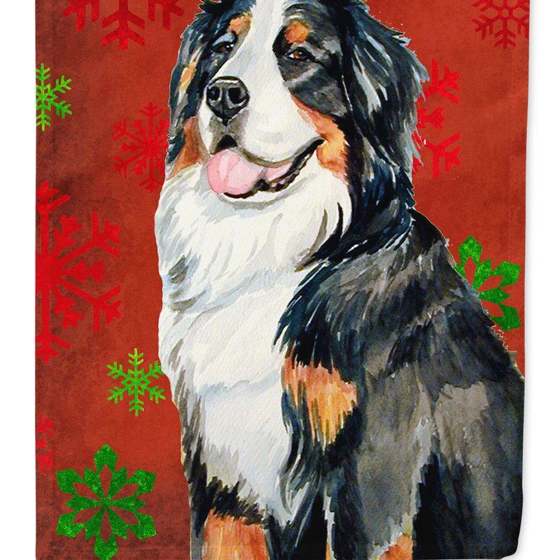 商品Caroline's Treasures|11 x 15 1/2 in. Polyester Bernese Mountain Dog Red  Green Snowflakes Holiday Christmas Garden Flag 2-Sided 2-Ply,价格¥137,第1张图片