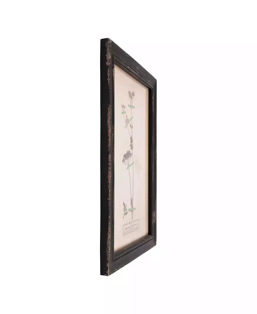 商品3R Studio|Wood Framed Wall Plaques with Dried Flower Images, Multicolor, Set of 16,价格¥4126,第4张图片详细描述