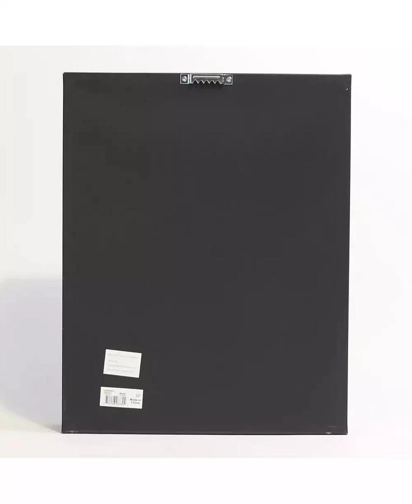 商品Lawrence Frames|Golf Ball Shadow Box Display Case - Holds 25 Logo Balls, 11" x 14",价格¥396,第5张图片详细描述