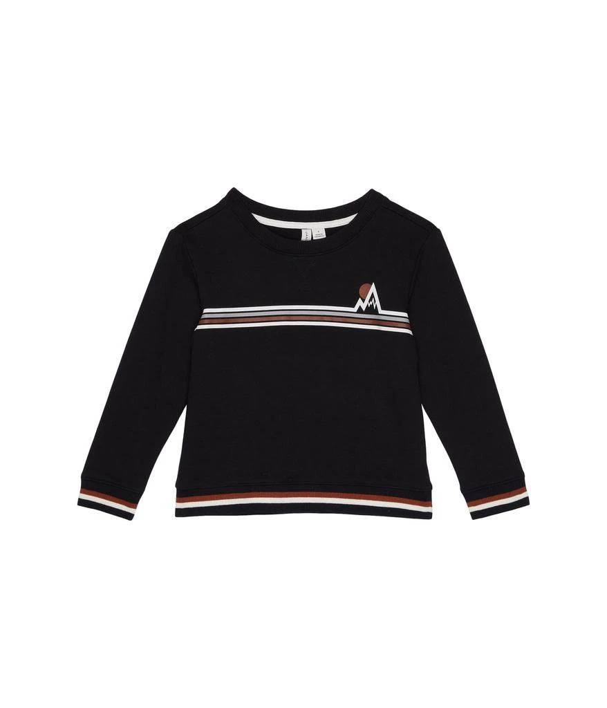 商品Janie and Jack|Graphic Pullover Sweatshirt (Toddler/Little Kids/Big Kids),价格¥296,第1张图片