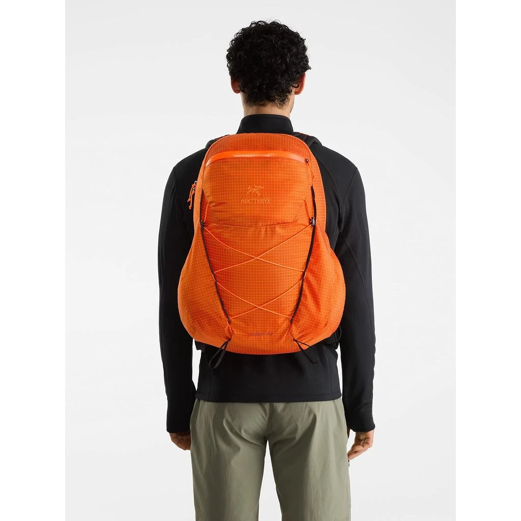 Arc'teryx Aerios 30 Backpack Men's | Versatile Pack for Overnight and Day Use | Pytheas, Regular 商品