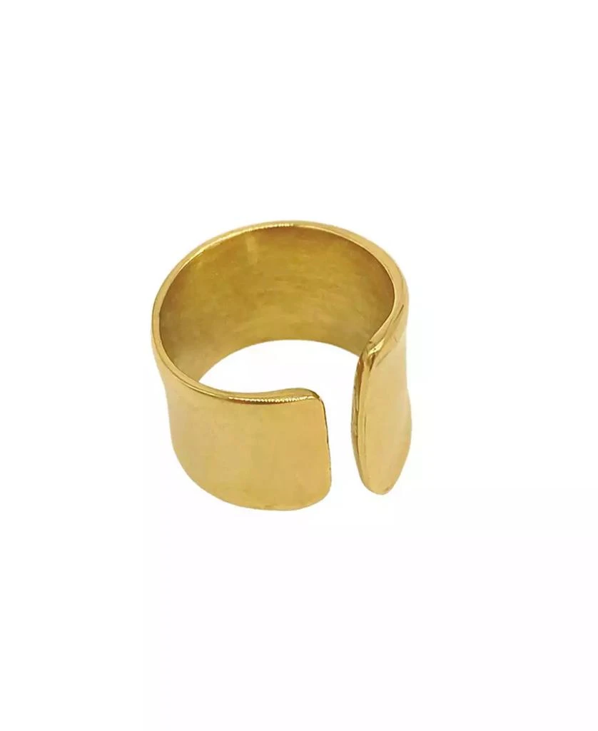 商品ADORNIA|14K Gold Plated Tall Open Band Ring,价格¥258,第1张图片