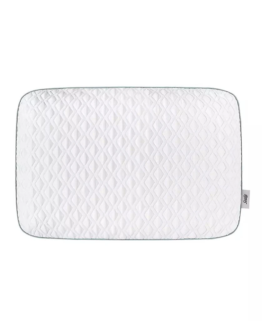 商品Sealy|Memory Foam Bed Pillow,价格¥462,第1张图片