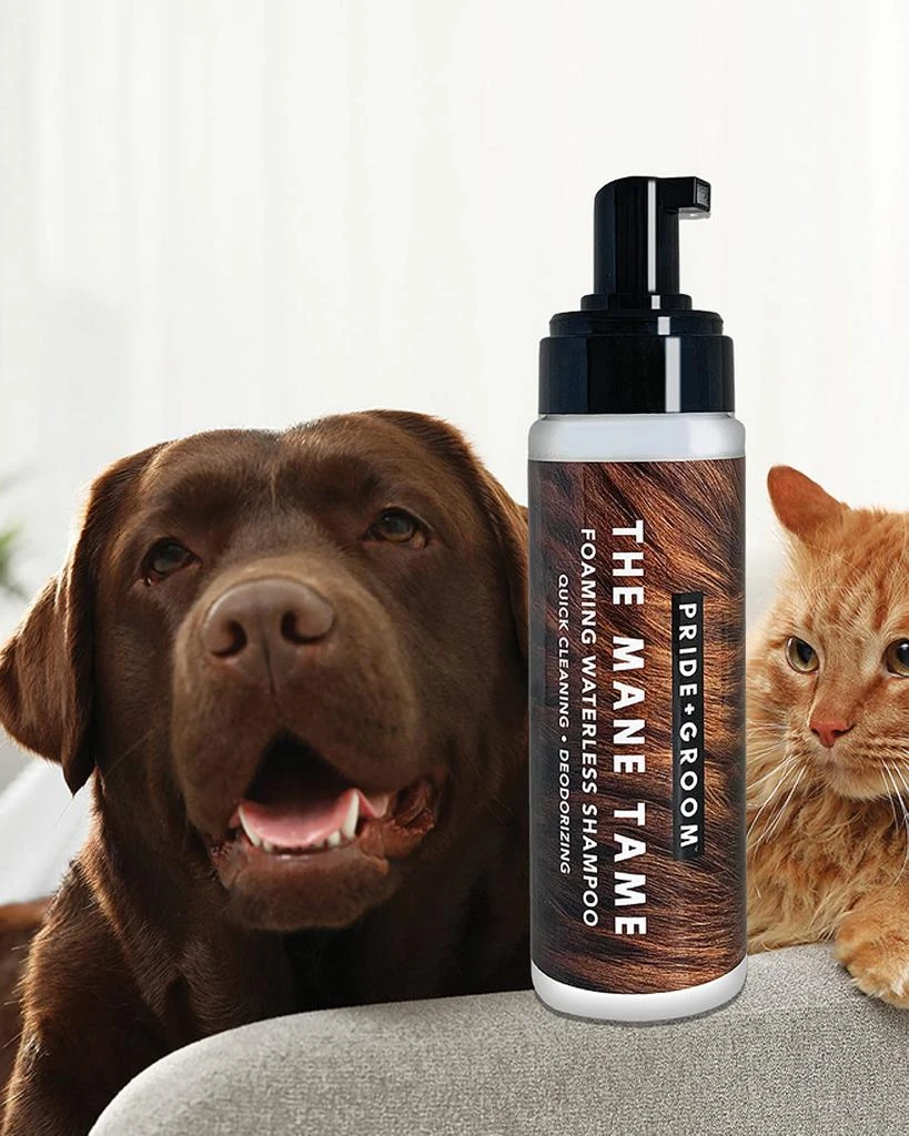 商品Pride + Groom|7.1 oz. The Mane Tame Foaming Waterless Pet Shampoo,价格¥156,第2张图片详细描述