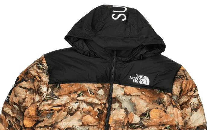 商品Supreme|Supreme TNF Nuptse Jacket,价格¥15392,第3张图片详细描述