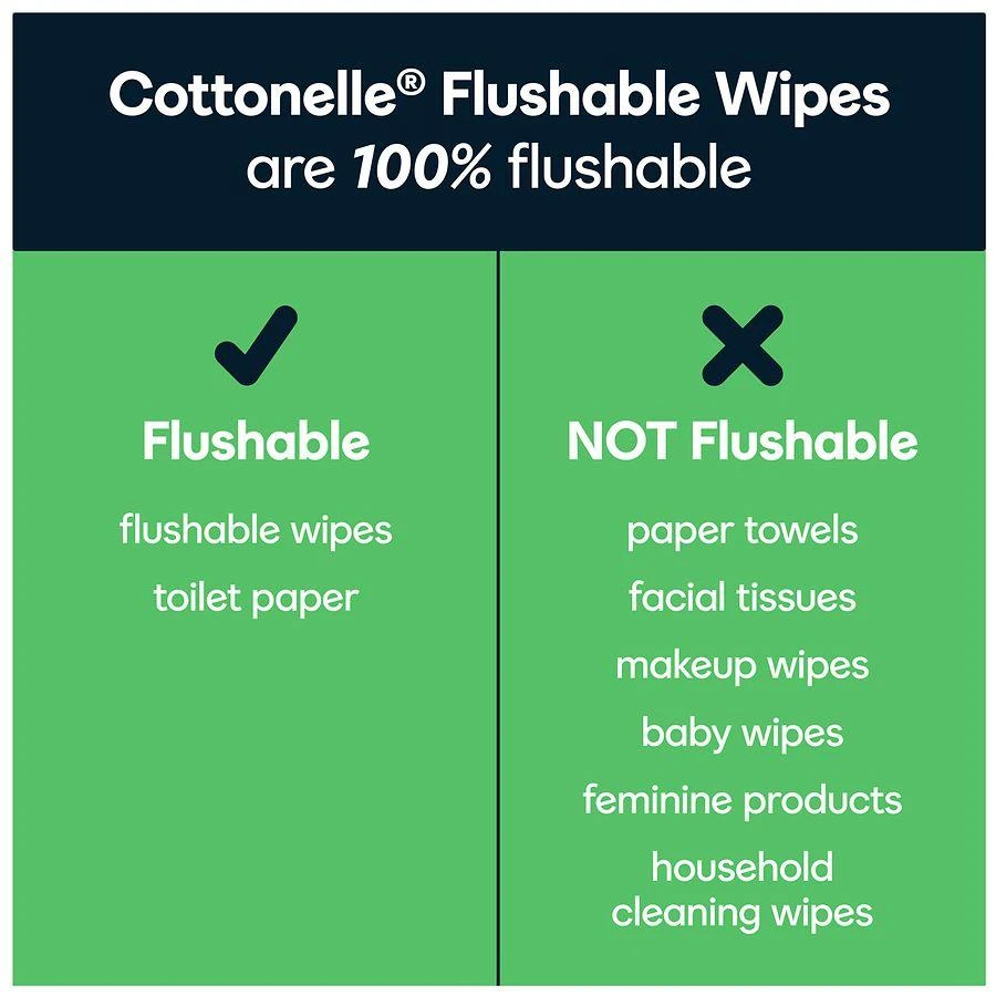 GentlePlus Flushable Wet Wipes, Aloe & Vitamin E, Flip-Top Packs 商品