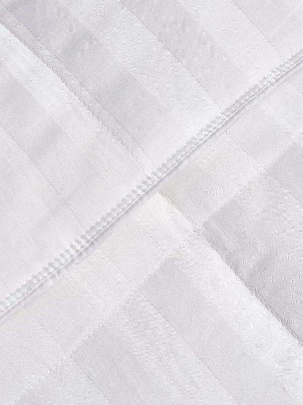 商品Blue Ridge Home Fashions|350 Thread Count Down Comforter,价格¥1086,第2张图片详细描述
