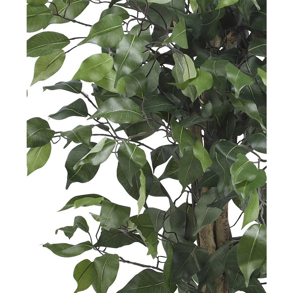 商品NEARLY NATURAL|3' Artificial Ficus Tree,价格¥733,第2张图片详细描述