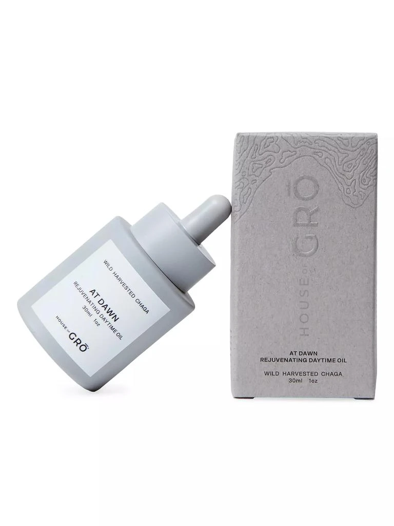 商品House of GRO|AT DAWN Rejuvenating Daytime Oil,价格¥1200,第2张图片详细描述