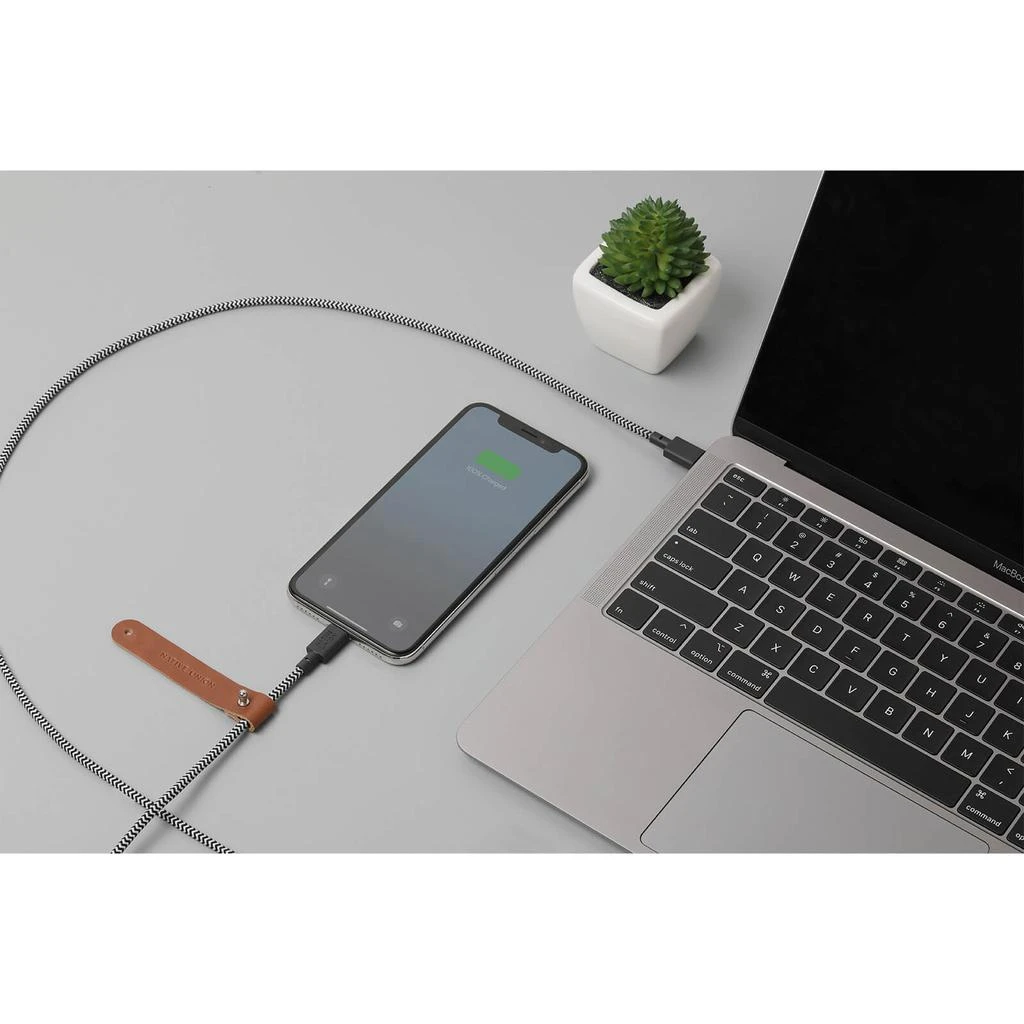 商品Native Union|Native Union Belt Cable 3m - USB C - Lightning - Zebra,价格¥330,第4张图片详细描述