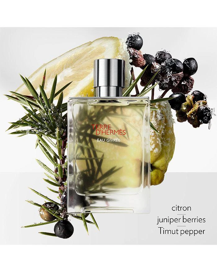 商品Hermes|Terre d'Hermès Eau Givrée Eau de Parfum Refill 4.2 oz.,价格¥1102,第5张图片详细描述