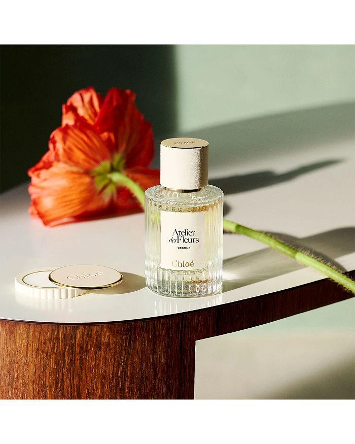 Atelier des Fleurs Magnolia Alba Solid Perfume 商品