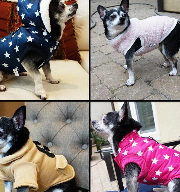 商品Primeware Inc.|Warm Stylish Duffle Dog Coat,价格¥135,第2张图片详细描述