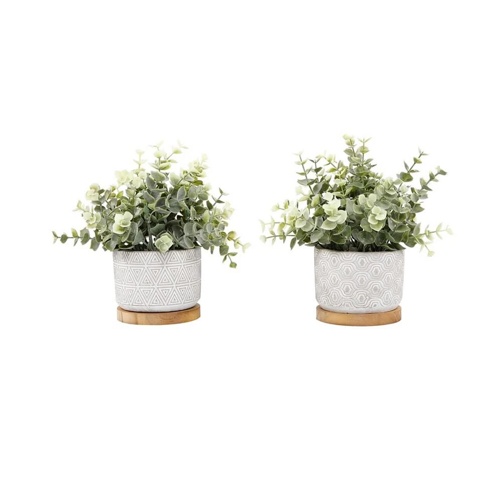 商品Flora Bunda|Eucalyptus Tea Leaf in Base Pot Set, 2 Piece,价格¥314,第2张图片详细描述
