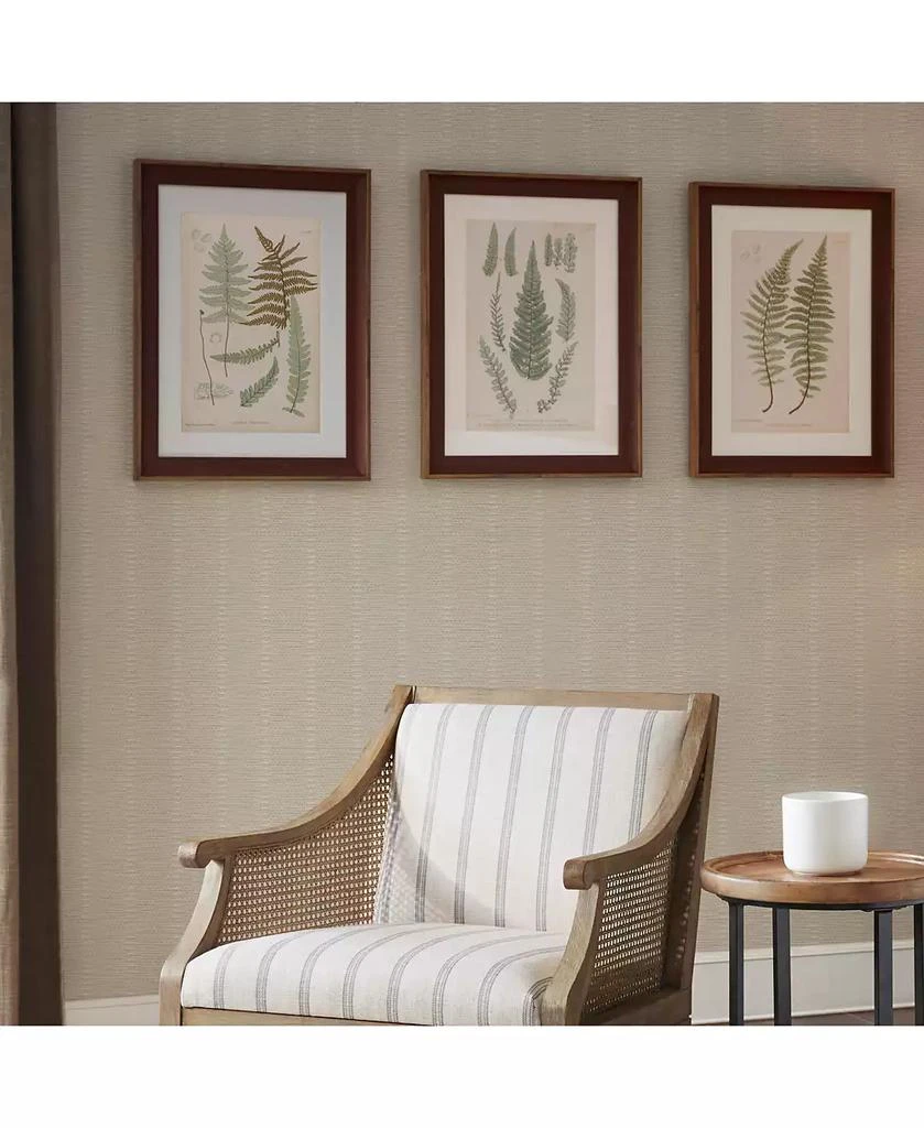 Martha Stewart Lady Fern Collection Single Mat Framed Graphic 3-Pc Set 商品