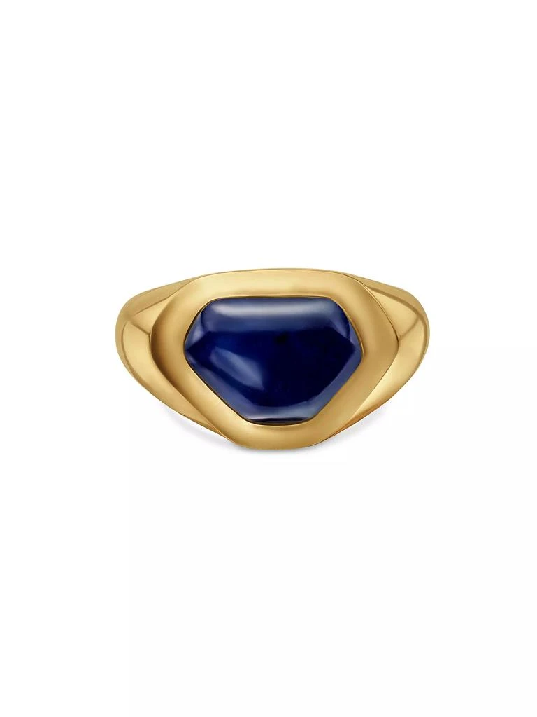 商品David Yurman|Shipwreck Signet Ring in 18K Yellow Gold,价格¥67823,第3张图片详细描述