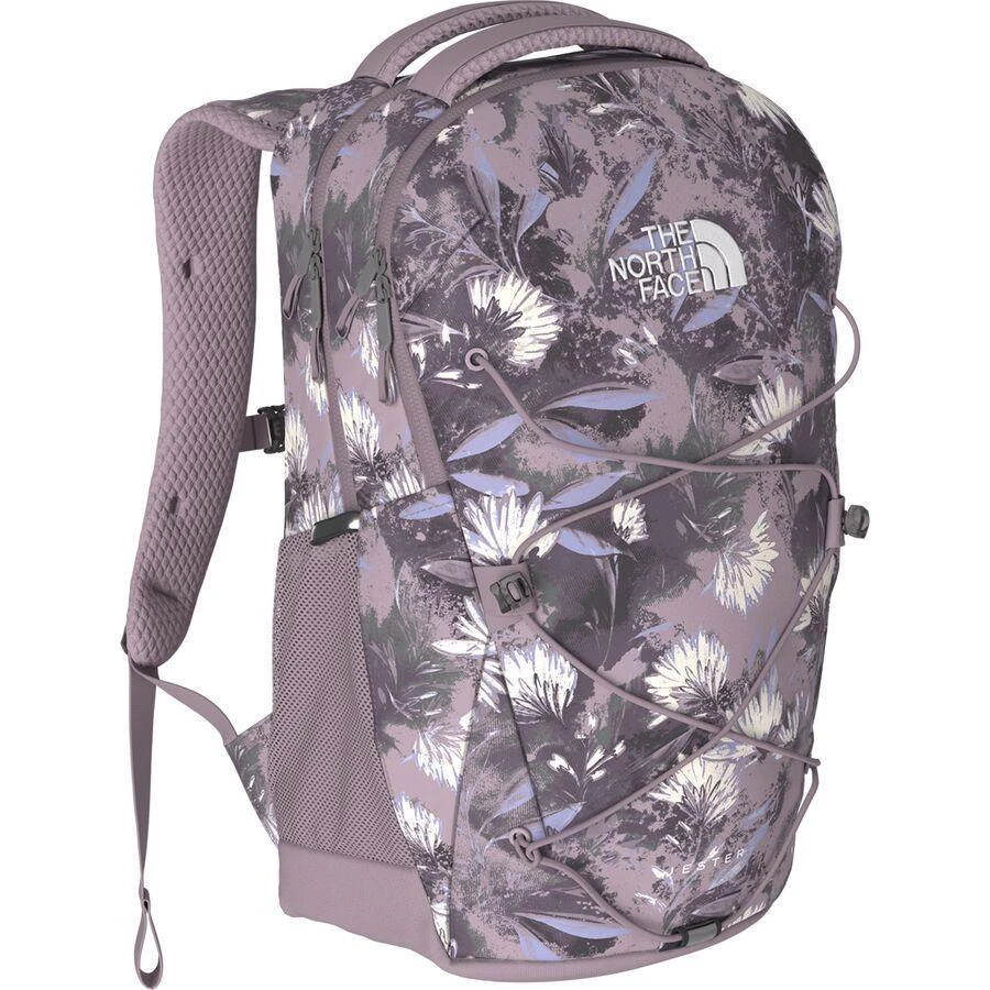 商品The North Face|Jester 22L Backpack - Women's,价格¥437,第1张图片
